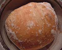 homemade healthy sandwich bread recipe
 on Healthy Recipes ~~ Our Family's Favorites ~~ Balancing Body, Mind, and ...
