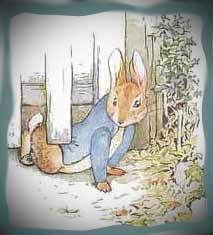 Peter Rabbit escaping, Attribution: https://www.google.com/search?rlz=1C1CHFX_enUS375US375&sourceid=chrome&ie=UTF-8&q=images+of+peter+rabbit Peter Rabbit escaping, Attribution: https://www.google.com/search?rlz=1C1CHFX_enUS375US375&sourceid=chrome&ie=UTF-8&q=images+of+peter+rabbit