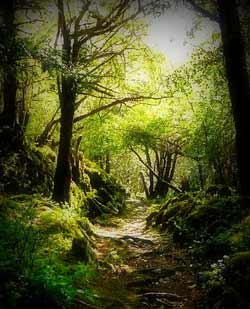 Passage through time and Space, Attribution: http://www.flickr.com/photos/angelastack/2879375255/sizes/z/in/photostream/ Passage through time and Space, Attribution: http://www.flickr.com/photos/angelastack/2879375255/sizes/z/in/photostream/