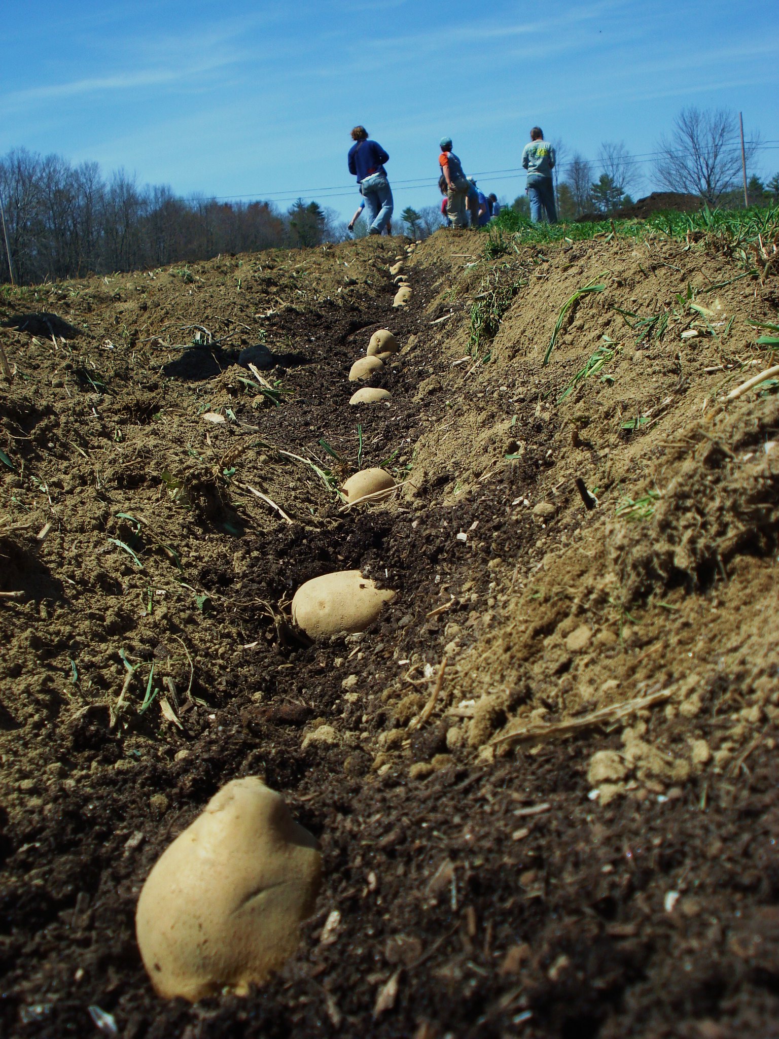 homeschooling outdoors homeschooling outdoors